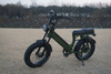 Strong Steel Frame Double Suspension Big Seat Fat Tire Sport Electric Fat Bike Beach Snow Ebike With Suspension Oil