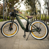 26inch Fat Tire 350W 500W 750W Electric City Bicycle - CRUISER - CNBTWO