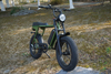 1000W Two Seat Lithium Battery Big Wheel Off Road Full Suspension Retro Vintage Electric Bikes