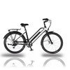 CITY HUNTER 002 - Step Through 26/27.5 inch Aluminum Alloy Frame Lithium Battert Power Electric City Bike For Women