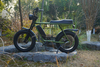 1000W Two Seat Lithium Battery Big Wheel Off Road Full Suspension Retro Vintage Electric Bikes