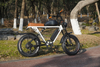 Retro Steel Frame Rear Brushless Hub Motor Double Battery Fat Tire Sport Electric Fat Bike Beach Snow Ebike With Suspension Oil