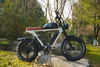 Retro Steel Frame Rear Brushless Hub Motor Double Battery Fat Tire Sport Electric Fat Bike Beach Snow Ebike With Suspension Oil