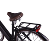 CITY HUNTER 002 - Step Through 26/27.5 inch Aluminum Alloy Frame Lithium Battert Power Electric City Bike For Women