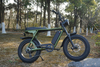 1000W Two Seat Lithium Battery Big Wheel Off Road Full Suspension Retro Vintage Electric Bikes