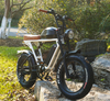 Retro Steel Frame Rear Brushless Hub Motor Double Battery Fat Tire Sport Electric Fat Bike Beach Snow Ebike With Suspension Oil