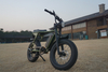 1000W Two Seat Lithium Battery Big Wheel Off Road Full Suspension Retro Vintage Electric Bikes