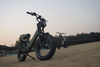 Strong Steel Frame Double Suspension Big Seat Fat Tire Sport Electric Fat Bike Beach Snow Ebike With Suspension Oil