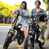 750W 1000W Mid Drive Motor Fat Tire Electric Bike - LEOPARD M - CNBTWO